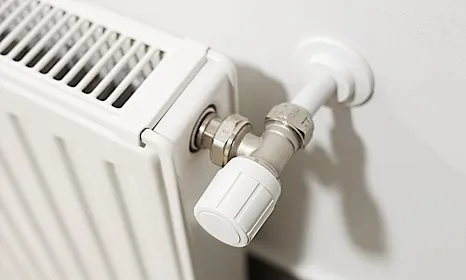 System Power Flushing